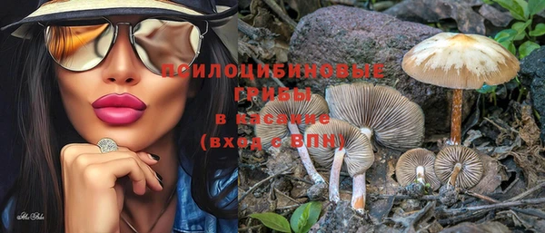 индика Абинск